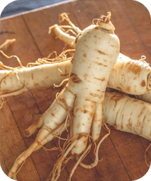 Chinese Ginseng ingredient