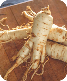 Chinese Ginseng ingredient